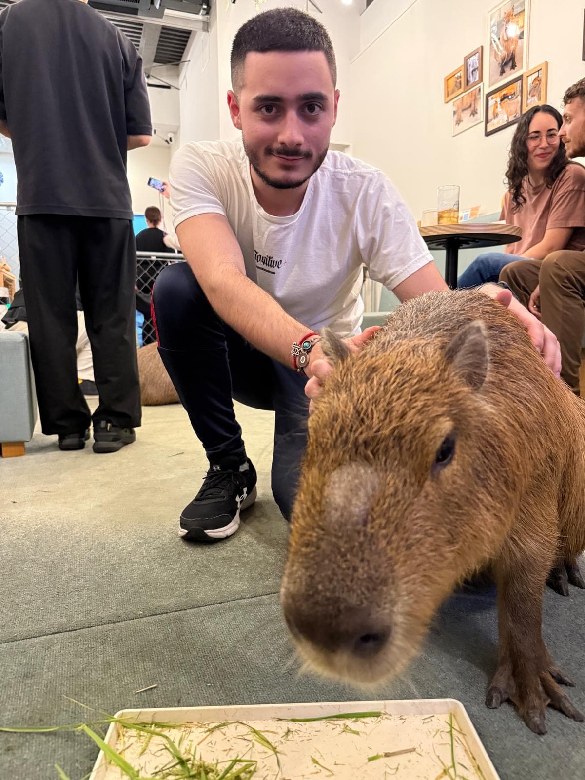 Jeremy BraΓ±a Tonelli profile picture